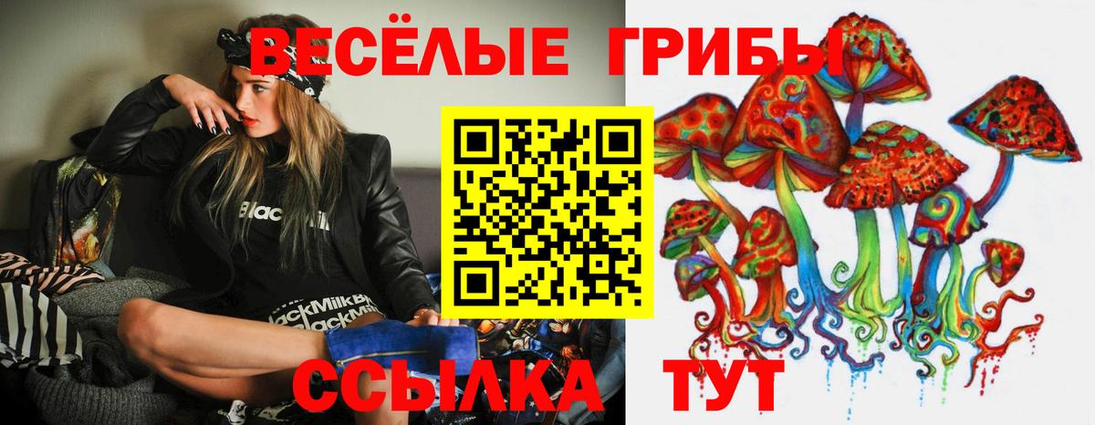 Реж  Псилоцибиновые грибы мицелий  Вход с VPN 